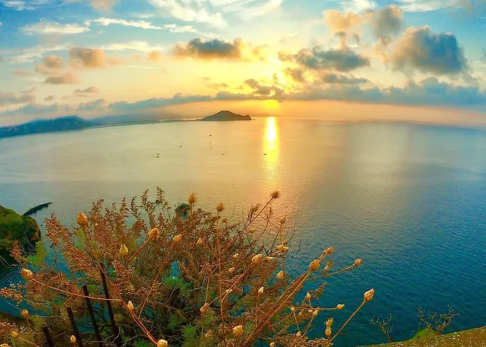 La Boutique 4* Προτσίντα