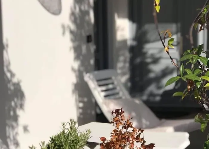 La Boutique 4* Προτσίντα